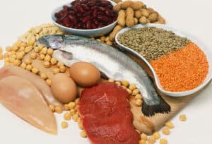 protein rich foods
