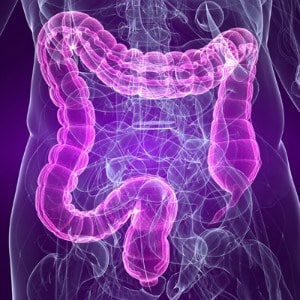 gut-microbiome