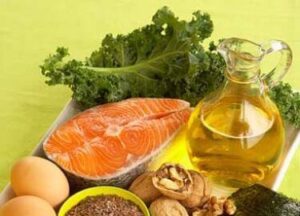 foods rich in protein and fat
