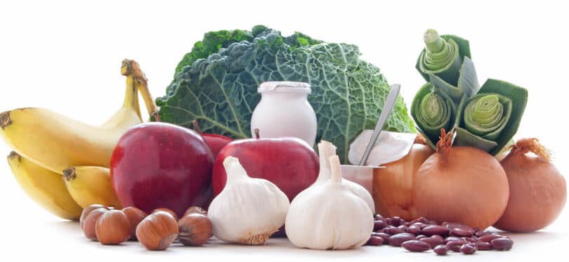 prebiotics