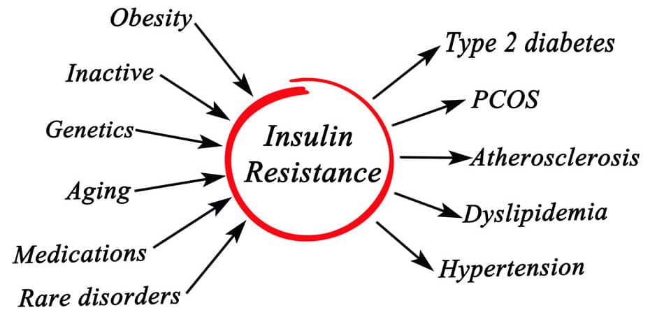 insulin resistance and PCOS
