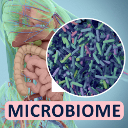 gut health and PCOS