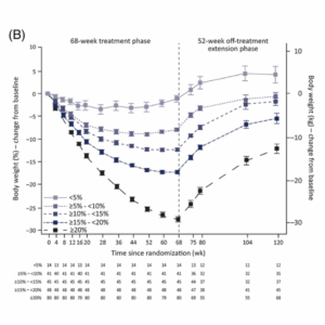 weight regain after stopping semaglutide